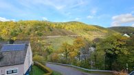 Großzügiges Einfamilienhaus mit 2 Garagen, Nebengebäude und Garten in Ortsrandlage von Zell/Mosel - Aussicht