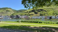 Schönes, gepflegtes Einfamilienhaus mit Terrasse und Garage in hochwassersicherer Lage in Zell-Kaimt - Blick auf Zell