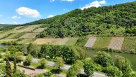 Ehemaliges Winzerhaus mit großem Garten und Moselblick in Briedel - Umgebung