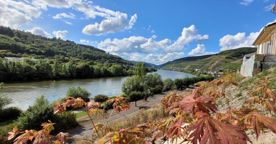 Vorbereitetes Bauprojekt: einzigartiger Panoramablick– Bauplatz mit Bodenplatte, Keller, Anschlüsse, 56856 Zell (Mosel), Haus