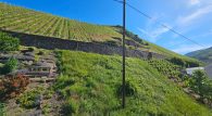Großzügiges Winzerhaus mit Doppelgarage, Gewölbekeller und viel Potenzial in Zell-Merl - Ausblick