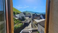Großzügiges Winzerhaus mit Doppelgarage, Gewölbekeller und viel Potenzial in Zell-Merl - Ausblick