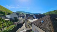 Großzügiges Winzerhaus mit Doppelgarage, Gewölbekeller und viel Potenzial in Zell-Merl - Aussicht