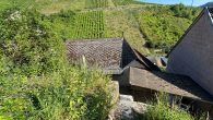 Einfamilienhaus in hochwassersicherer Lage mit Garten in Briedel - Ausblick