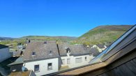 Ferienhaus oder Festwohnsitz an der Mosel in Senheim in hochwassersicherer Lage - Fensterblick