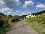 Großzügiges Baugrundstück mit schöner Aussicht in Burg, Nähe Traben-Trarbach und Zell - Umgebung