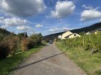 Großzügiges Baugrundstück mit schöner Aussicht in Burg, Nähe Traben-Trarbach und Zell - Umgebung