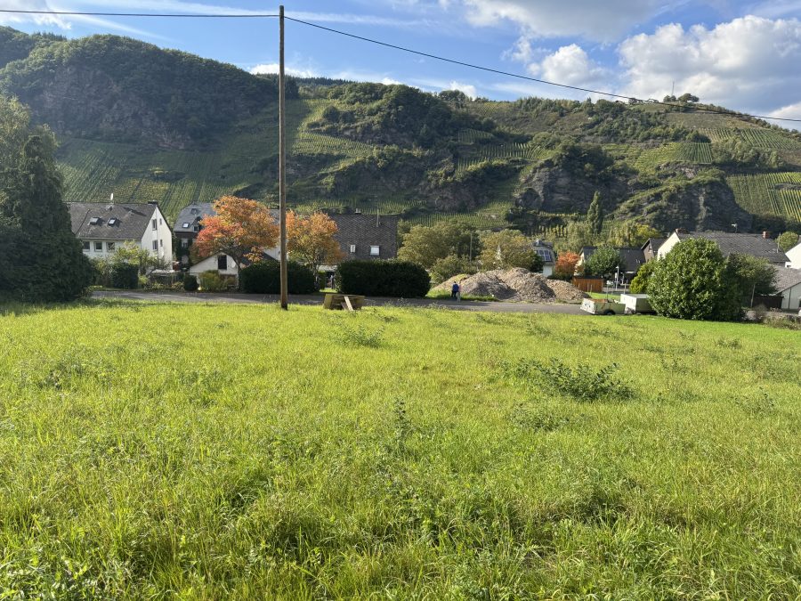 Großzügiges Baugrundstück mit schöner Aussicht in Burg, Nähe Traben-Trarbach und Zell, 56843 Burg(Mosel), Wohngrundstück