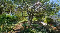 Modernisierte Doppelhaushälfte mit traumhafter Aussicht, liebevoll angelegtem Garten und Carport - Garten