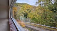 Großzügiges Einfamilienhaus mit 2 Garagen, Nebengebäude und Garten in Ortsrandlage von Zell/Mosel - Ausblick